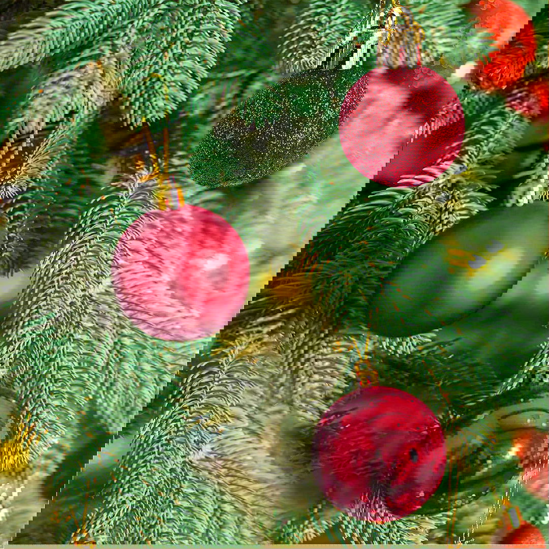 Golden & Red Hanging Ball 6 Pcs for Christmas Party Decor