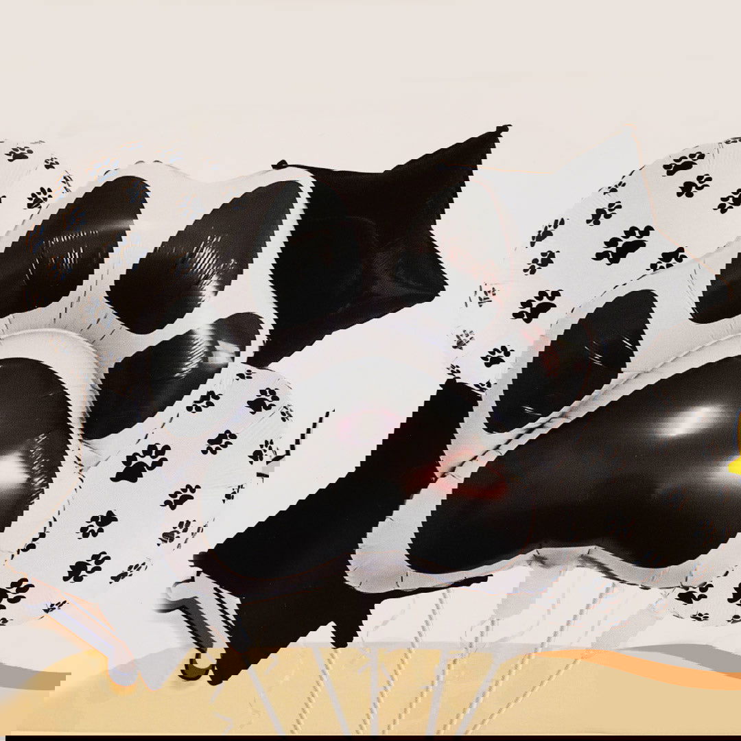 Panda Feet Foil balloons 5 Pcs Set - Ardor UAE