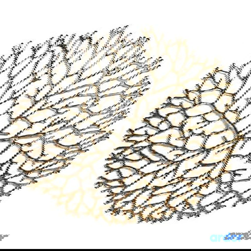 Ramadan Fruits & Khajoor Tray