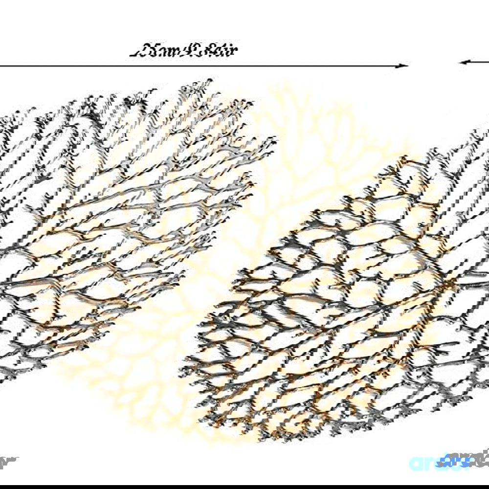 Ramadan Fruits & Khajoor Tray
