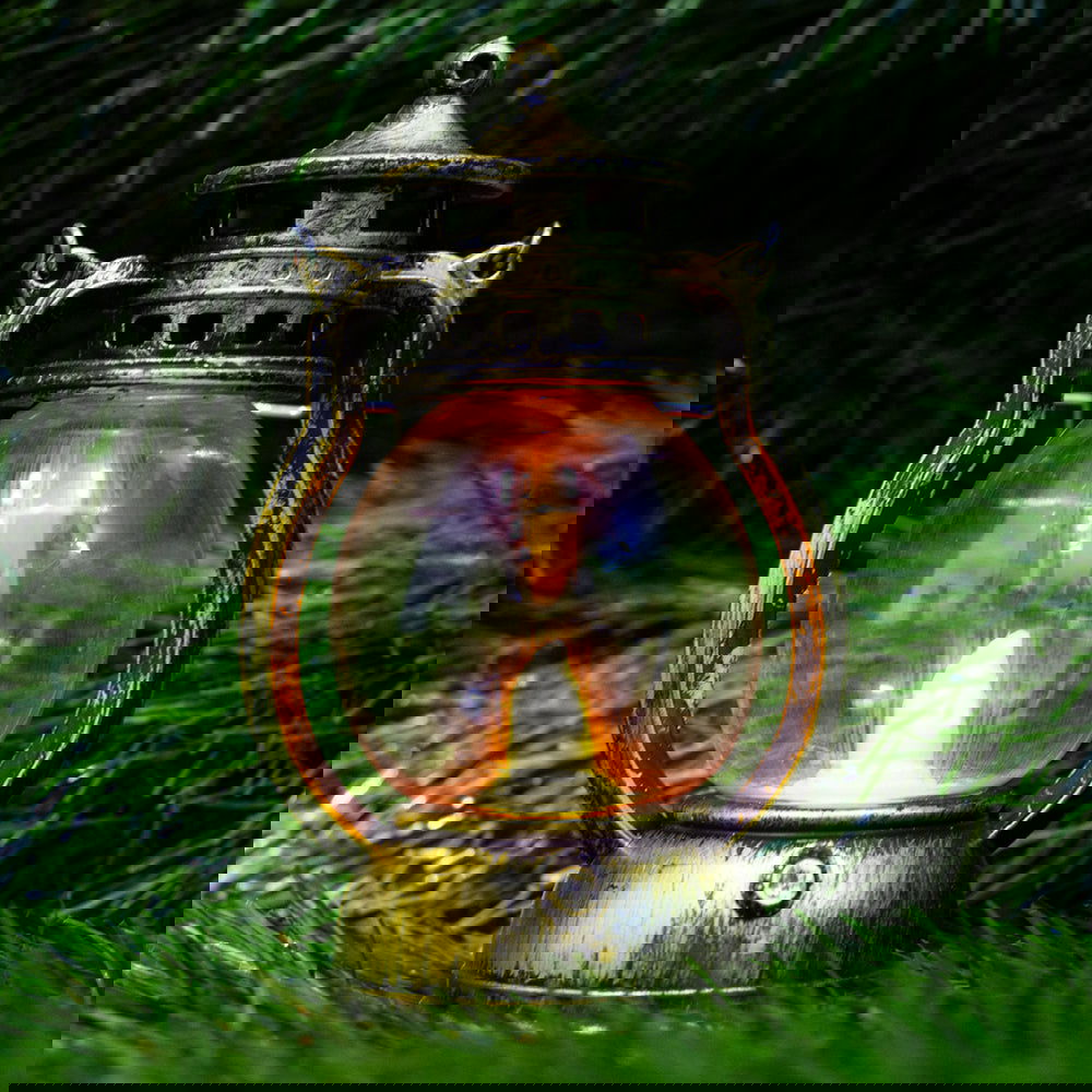 Vintage Black & Golden Lanterns