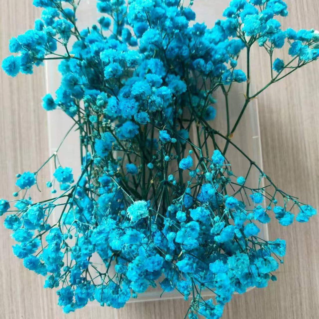 Baby Breath