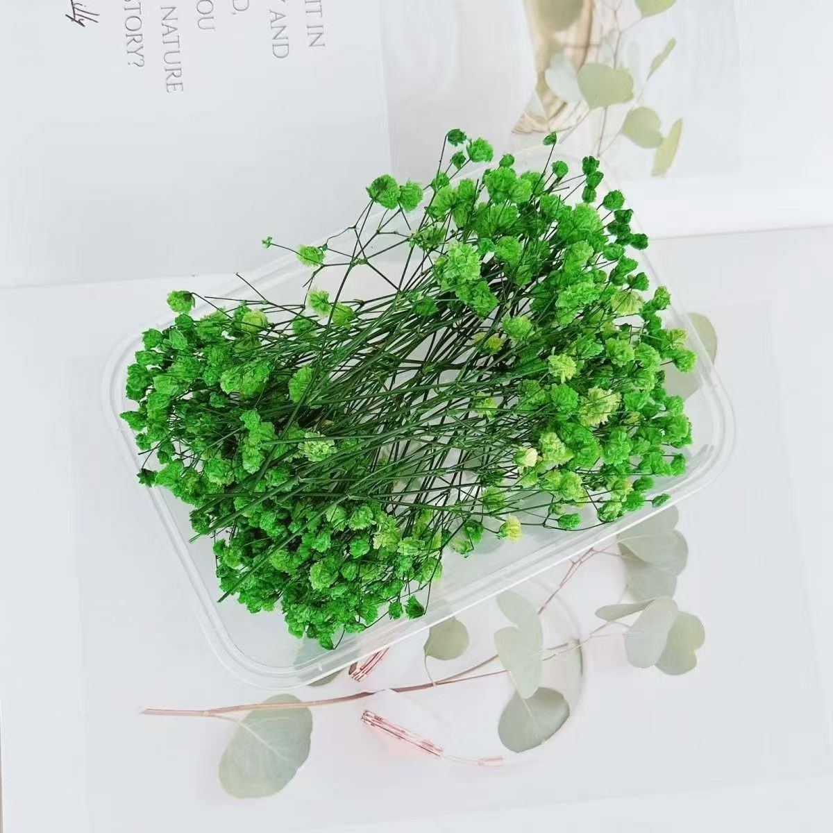 Baby Breath