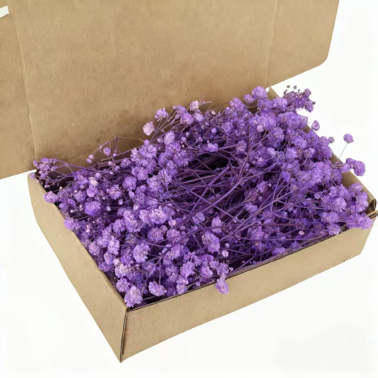 Baby Breath